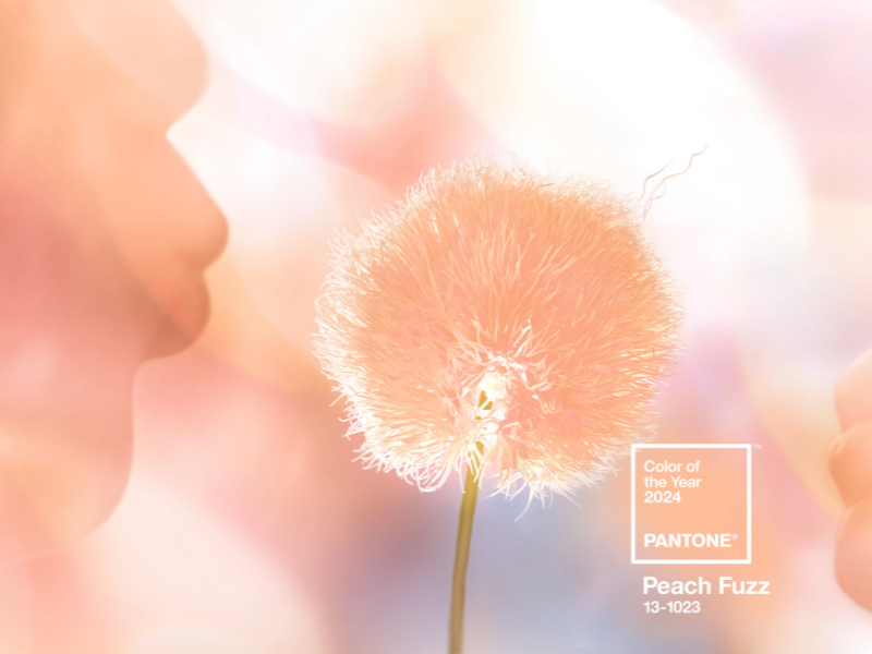 Màu của năm 2024: Peach Fuzz